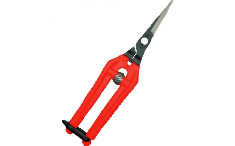 （株）近正  TP-530  チカマサ　ウルトラライト