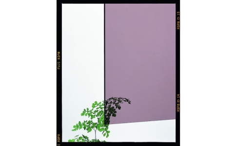 （株）光  KAC4093-6  光　アクリル板ブラウンスモーク４５０×９００×３ｍｍ２枚入