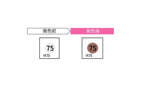 因幡電機産業（株）  1K75-JP  ＪＡＰＰＹ　サーモカラーセンサー（２０枚入り）