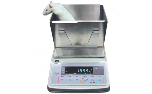 新光電子（株）  DH-R1500N  ＶｉＢＲＡ　動物はかり　ＤＨ－Ｒ１５００Ｎ