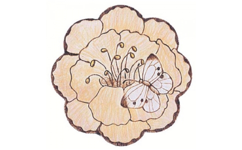 白光（株）  C1398  白光　ウッドバーニングセット　スプリング