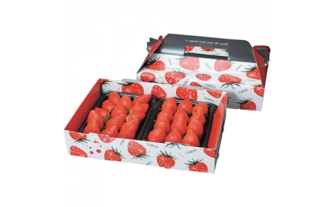 （株）折兼  553649  パックスタイル　ＰＳ手提箱　イチゴ　２Ｐポップホワイト