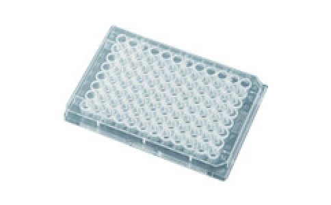 東京硝子器械（株）  725-28-03-21  ＴＧＫ　Ｕ底アッセイプレート３５３９１０未滅菌　５０枚