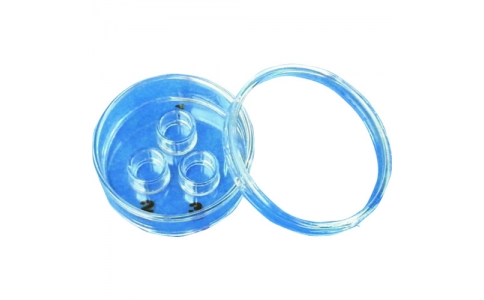 東京硝子器械（株）  889-28-41-12  ＴＧＫ　小容量ディッシュ　φ３５　ウェルφ９×３　蓋付