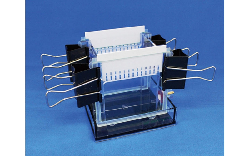 41-1716 Mini slab electrophoresis system BE-222G