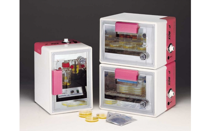 1180043 P-BOX Vertically 1 unit 00156