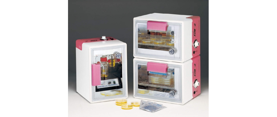 41-0041 Disktop Incubator P-BOX (horizontal type)