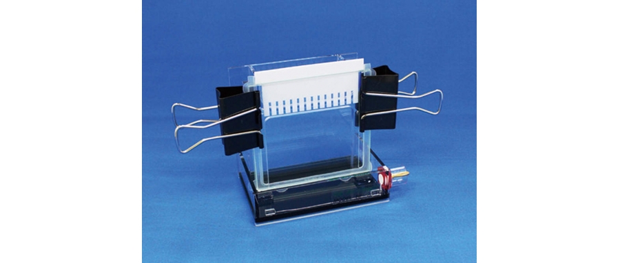 41-1715 Mini slab electrophoresis system BE-211G