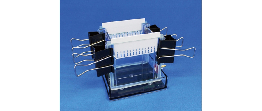41-1716 Mini slab electrophoresis system BE-222G